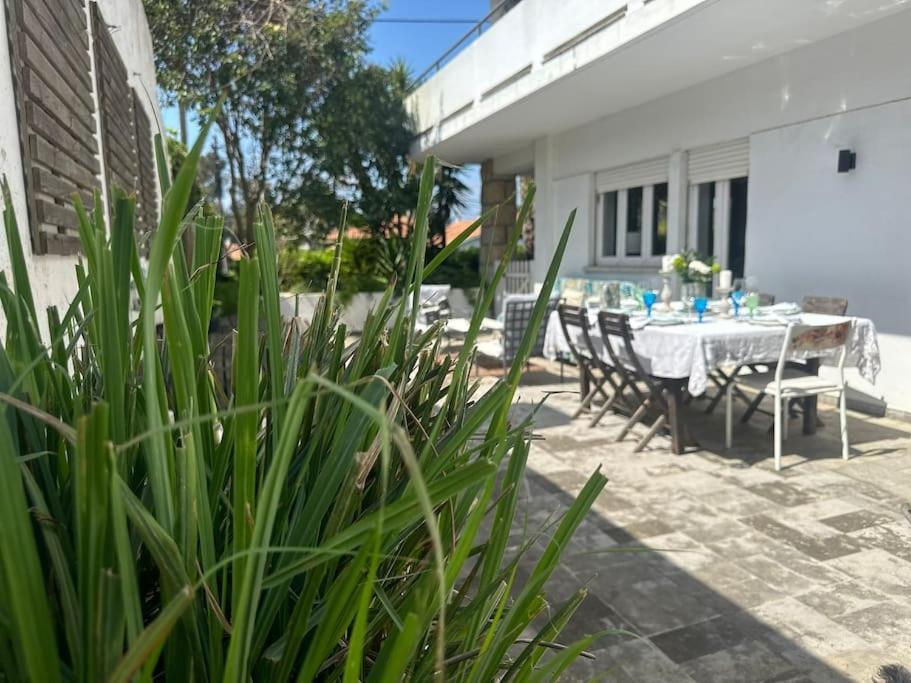 In Cascais, Near The Center And Beaches, But In A Very Quite Neighborhood Vakantiehuis